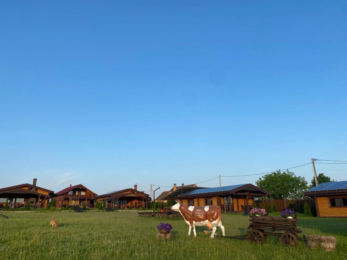 Хомене Villa Rzhyshchiv Luaran gambar